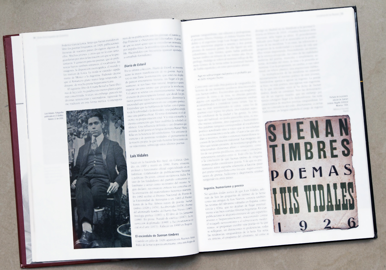 Libro Vidales