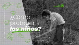 ¿Cómo proteger a los niños?