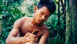 Recuperando memorias: conservación y restauración de la colección fotográfica Los Hombres del Manguaré