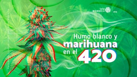  marihuana