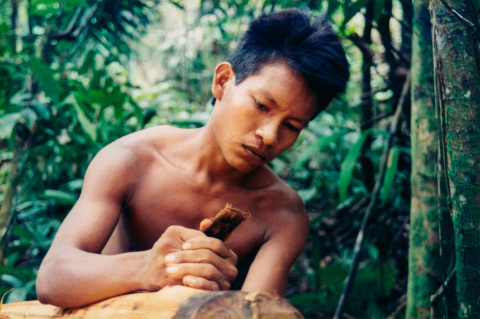 Recuperando memorias: conservación y restauración de la colección fotográfica Los Hombres del Manguaré
