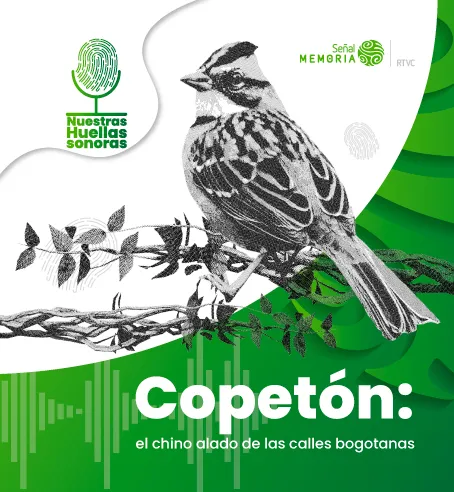Copetón