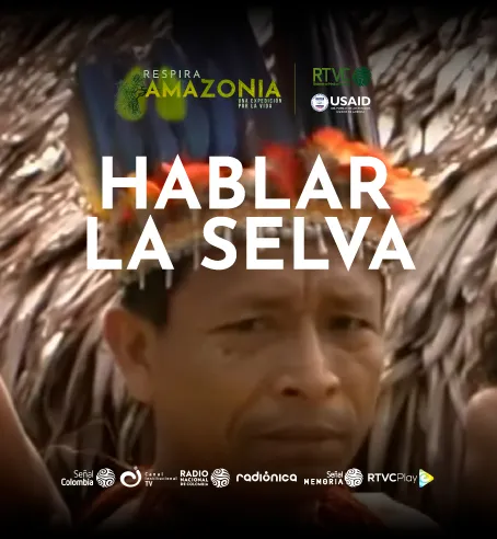 selva 