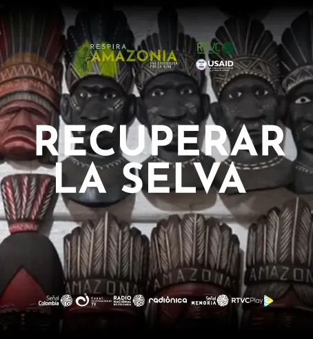 Recuperar la selva