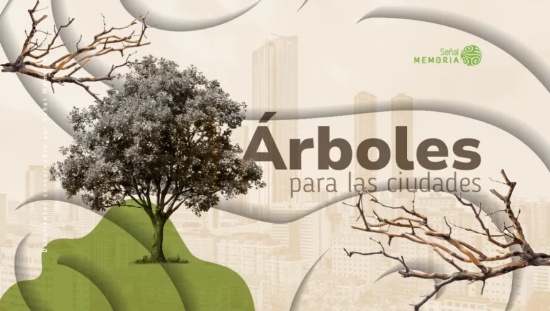 Árboles