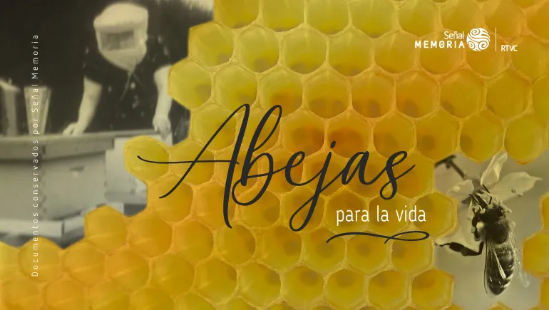Abejas para la vida
