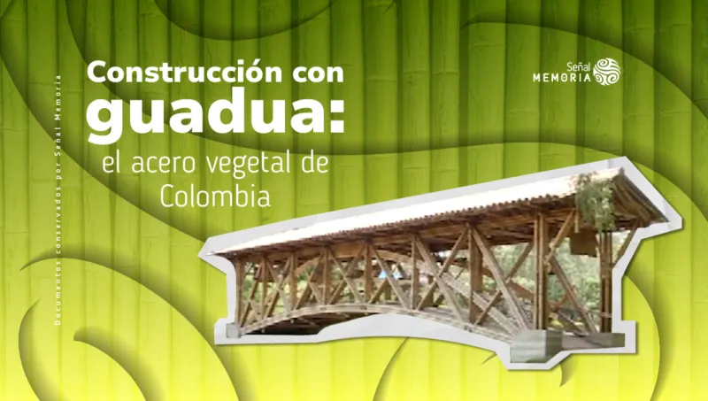 Construcción con guadua: el acero vegetal de Colombia