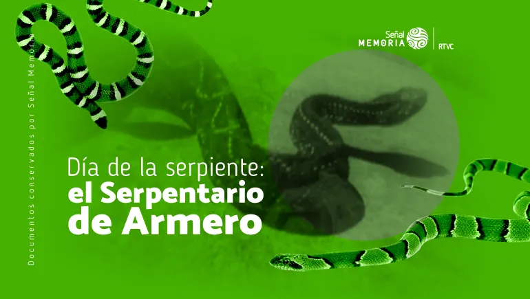 16 de julio día mundial de la serpiente 