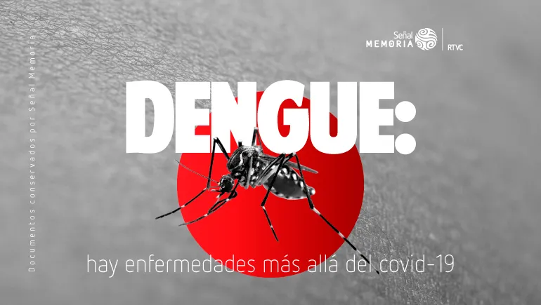 dengue, enfermedad transmitida por mosquito 