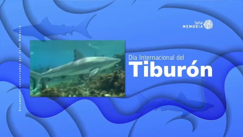 Tiburón