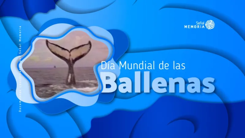 Ballenas