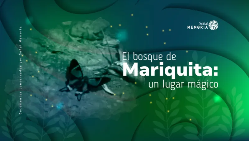 El bosque de Mariquita: un lugar mágico