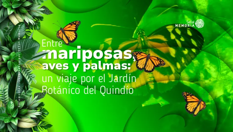 Entre mariposas, aves y palmas: un viaje por el Jardín Botánico del Quindío