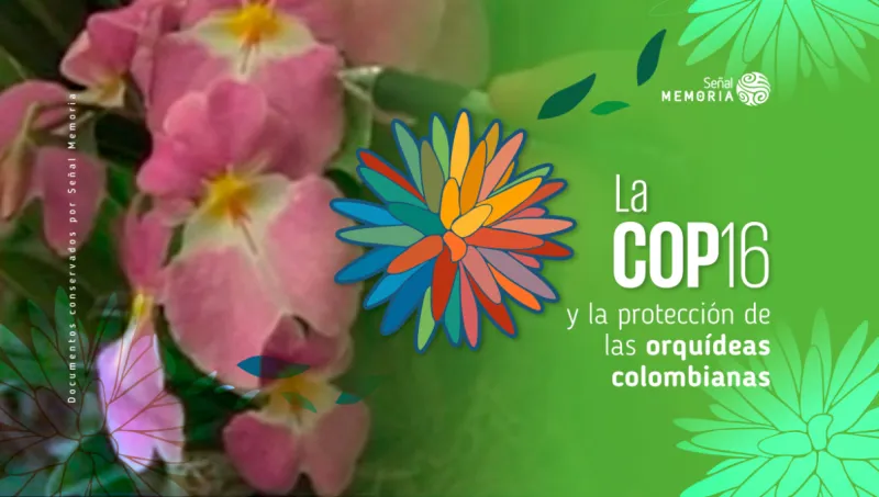 La COP16 y la protección de las orquídeas colombianas