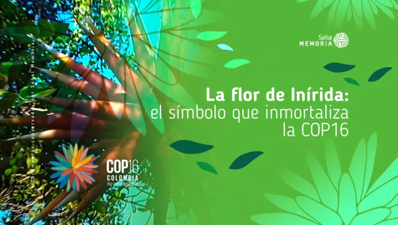 La flor de Inírida: el símbolo que inmortaliza la COP16