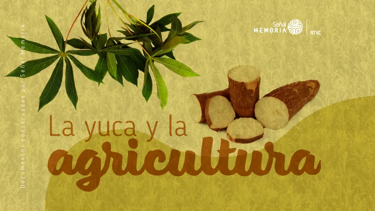 La yuca y la agricultura