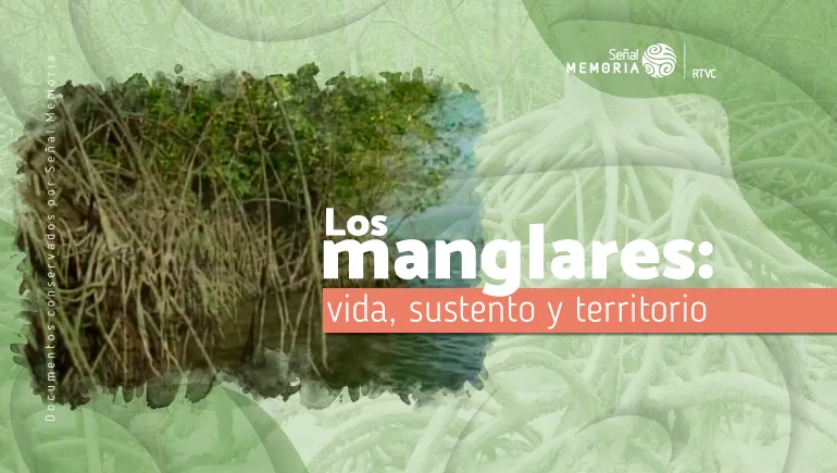 Los manglares: vida, sustento y territorio