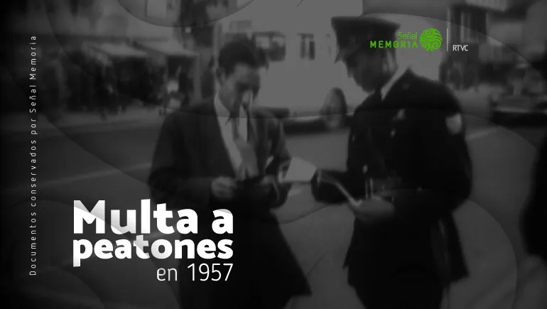 multa a peatones