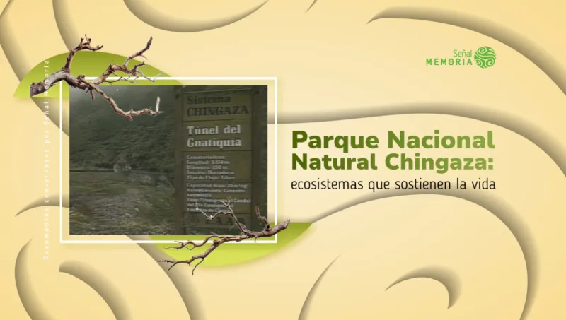Parque Nacional Natural Chingaza: ecosistemas que sostienen la vida