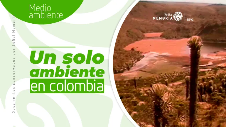 Un solo ambiente en Colombia