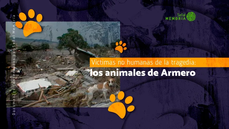 Víctimas no humanas de la tragedia: los animales de Armero