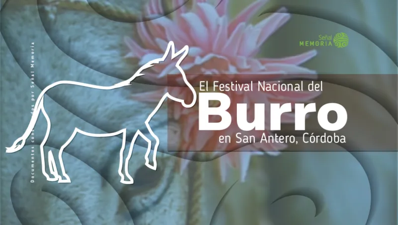 El Festival Nacional del Burro 