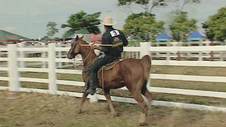 Caballo en el coleo