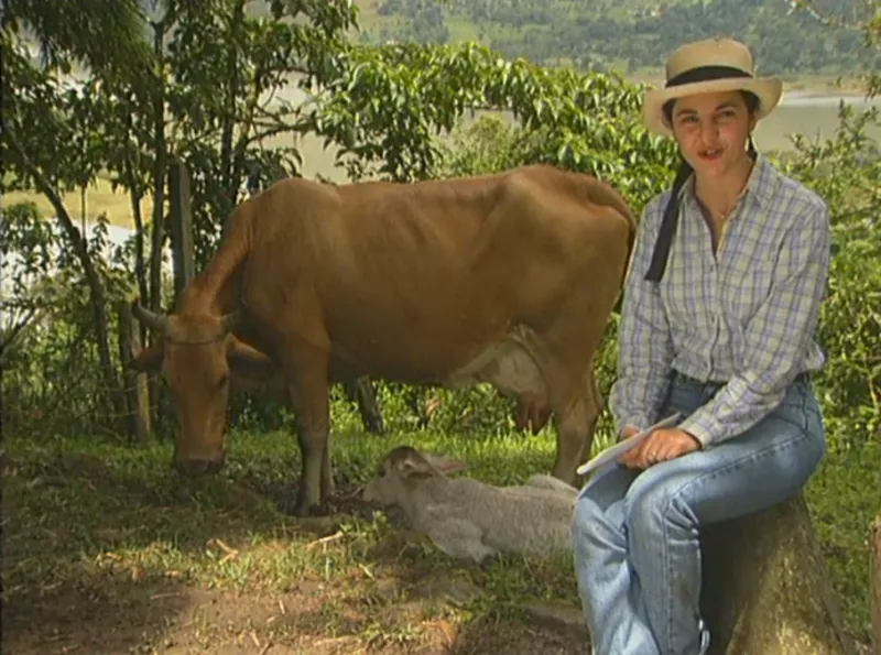 animal doméstico en la televisión educativa