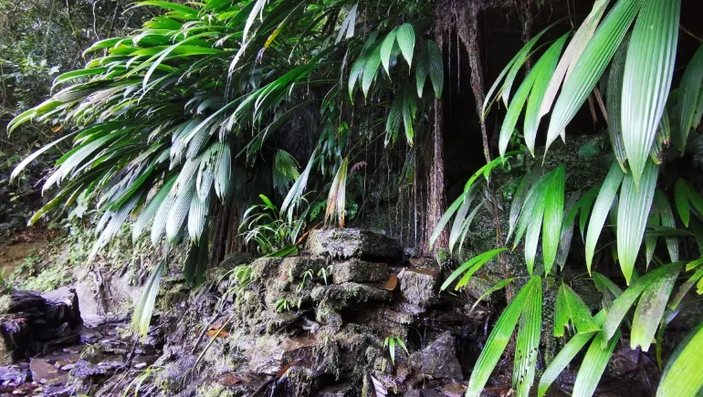 Minas Santa Ana 2