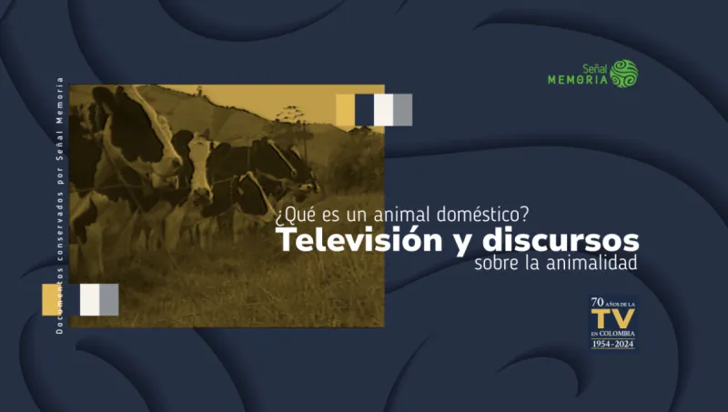 animal doméstico