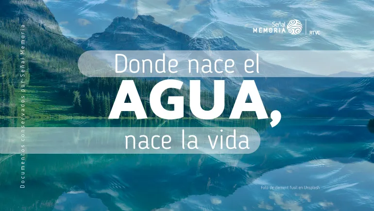 Día del agua