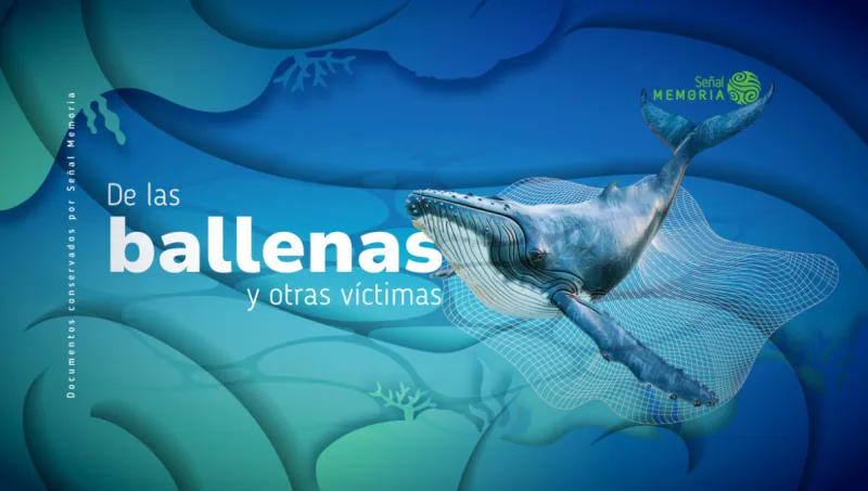 De las ballenas y otras víctimas 