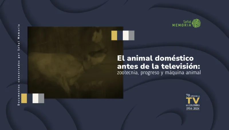 El animal doméstico antes de la televisión: zootecnia, progreso y máquina animal