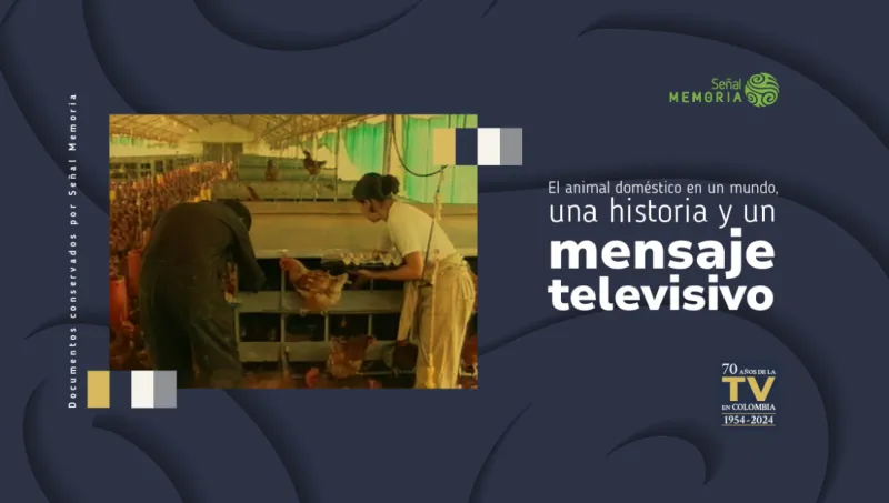 El animal doméstico en un mundo, una historia y un mensaje televisivo