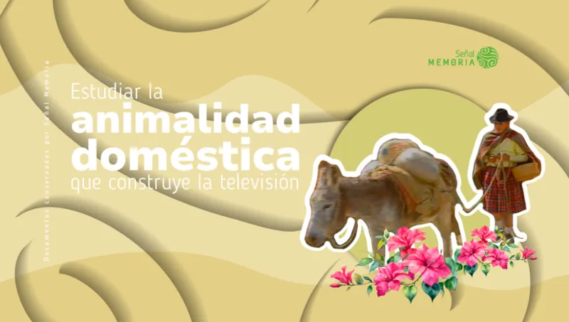 Estudiar la animalidad doméstica que construye la televisión