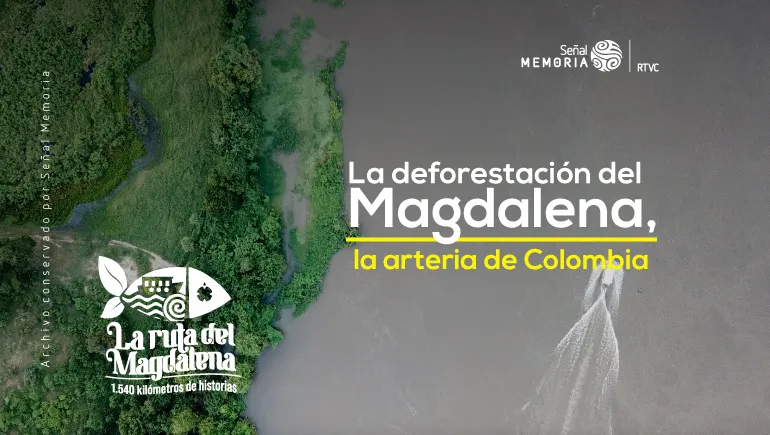 La deforestación del Magdalena, la arteria de Colombia