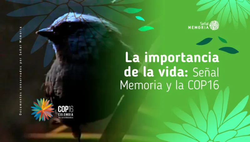 La importancia de la vida: Señal Memoria y la COP16