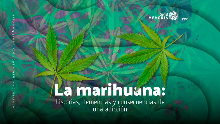 marihuana 