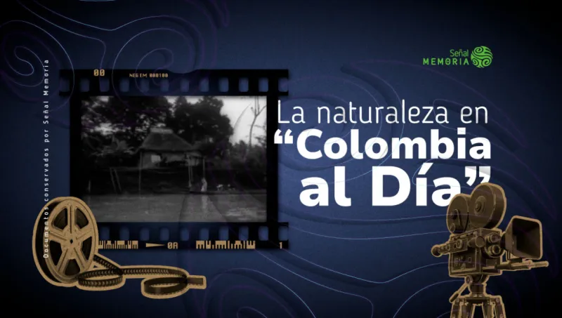  naturaleza