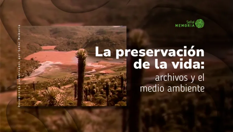 La preservación de la vida: archivos y el medio ambiente