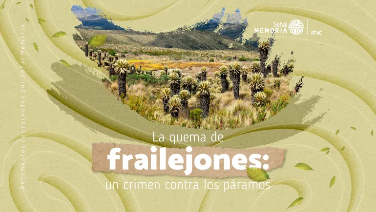La quema de frailejones