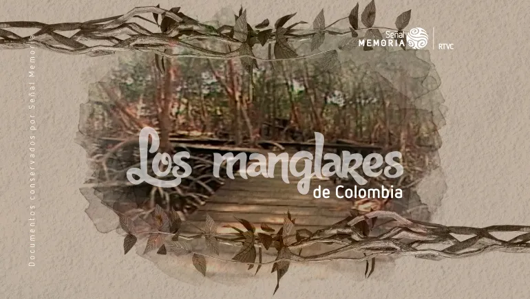  manglares