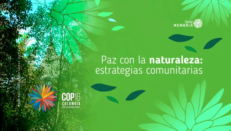 Paz con la naturaleza: estrategias comunitarias