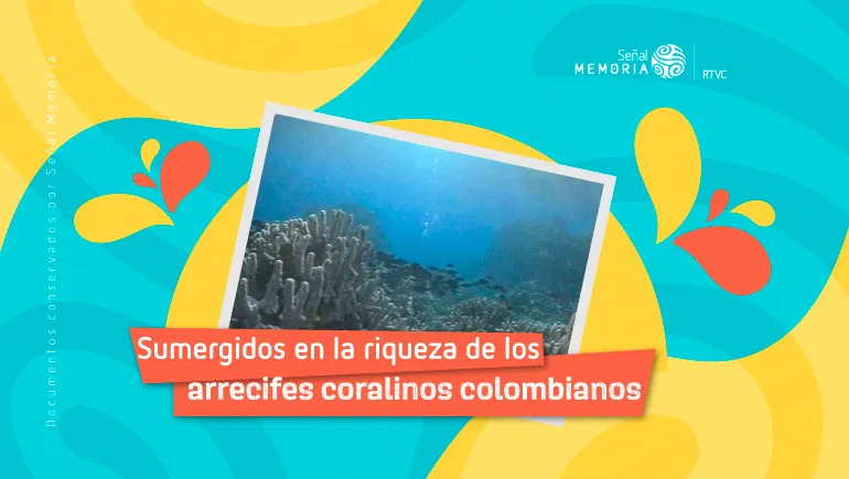  arrecifes coralinos 