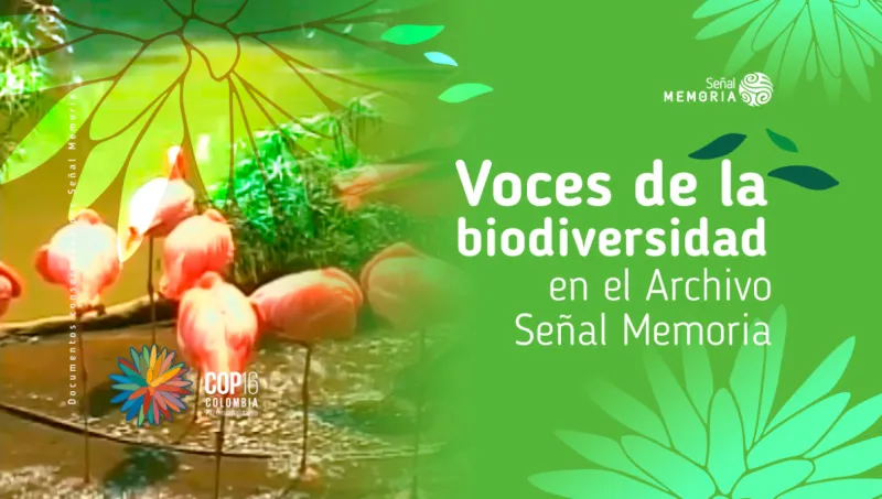 Voces de la biodiversidad en el Archivo Señal Memoria