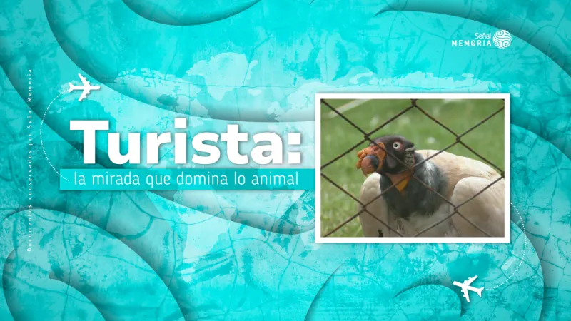 Turista: mirada al dominio animal