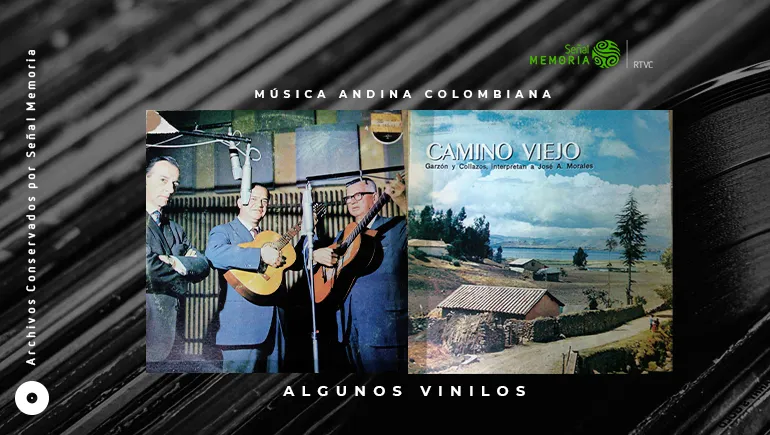 vinilos