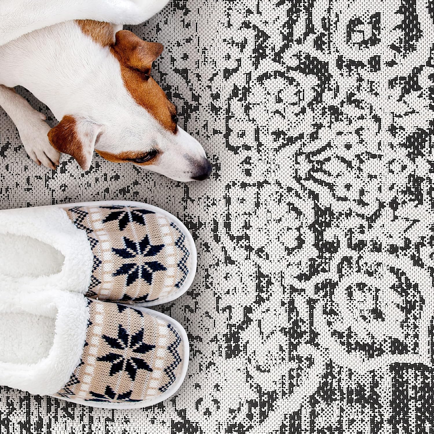 Outdoor Rugs Modern Vintage Look Carpets - Picture 9 of 64