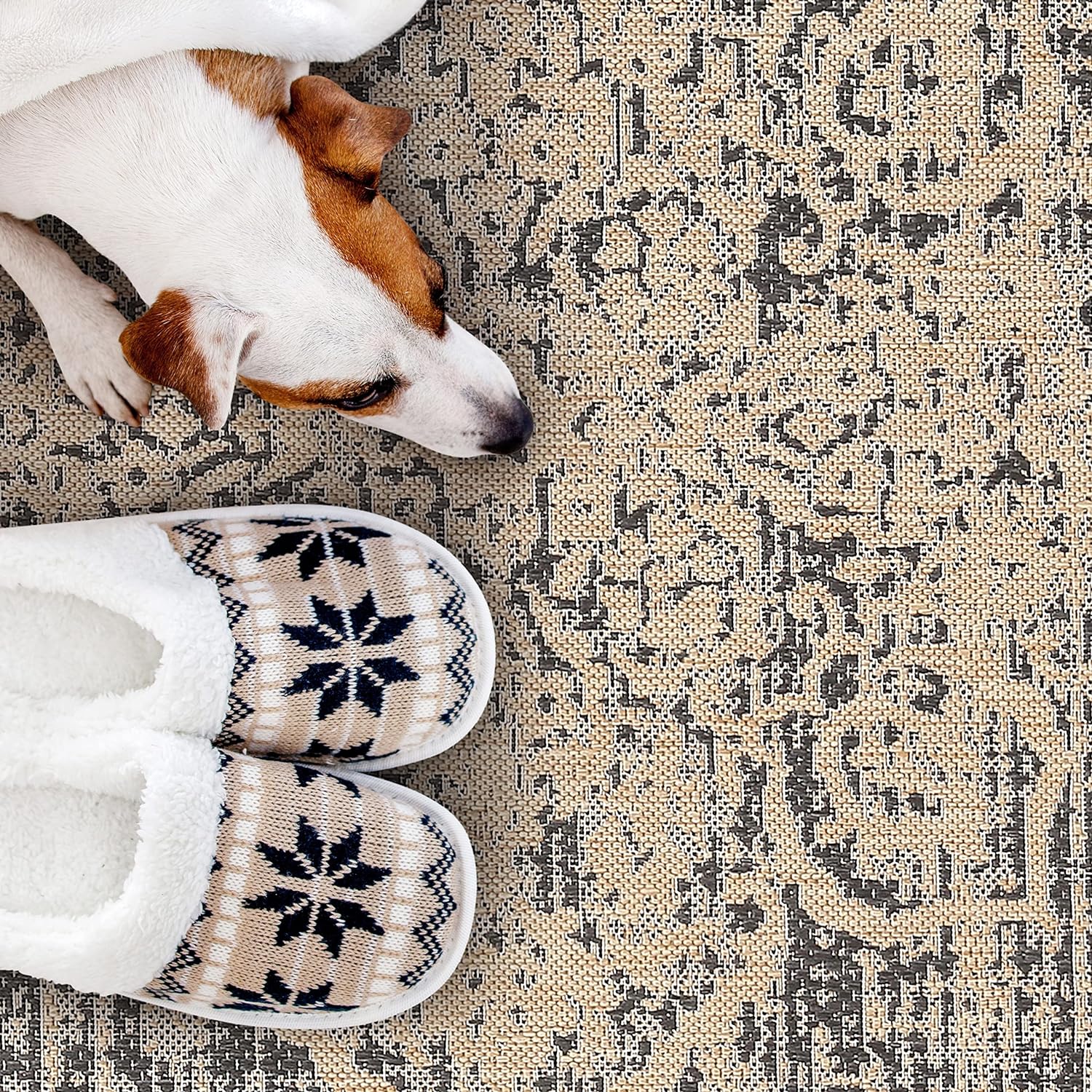 Outdoor Rugs Modern Vintage Look Carpets - Picture 22 of 64