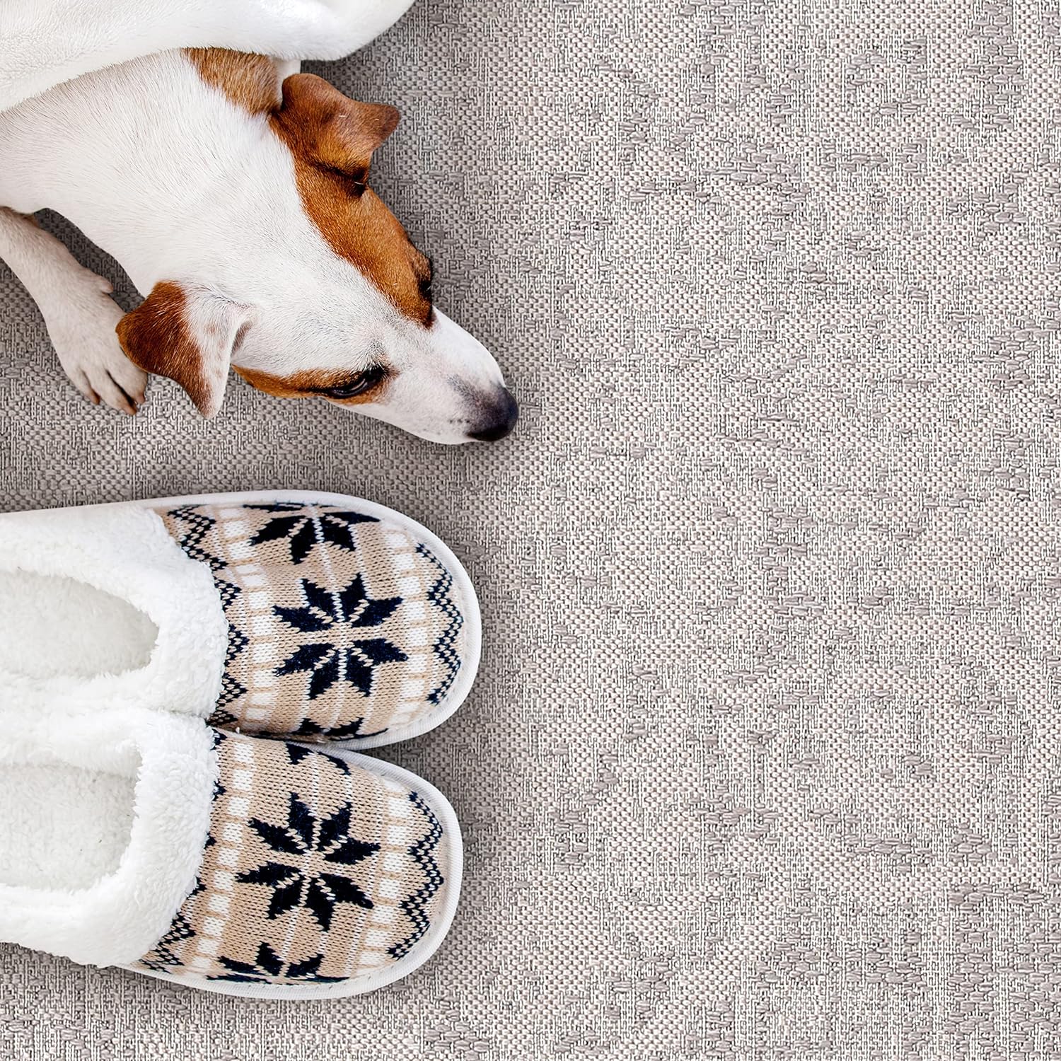 Outdoor Rugs Modern Vintage Look Carpets - Picture 45 of 64